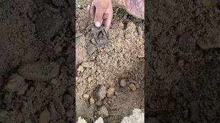 Metal Detector Found Old Silver Metal! Amazing Discovery #shorts #shortsfeed  #you #shortvideo