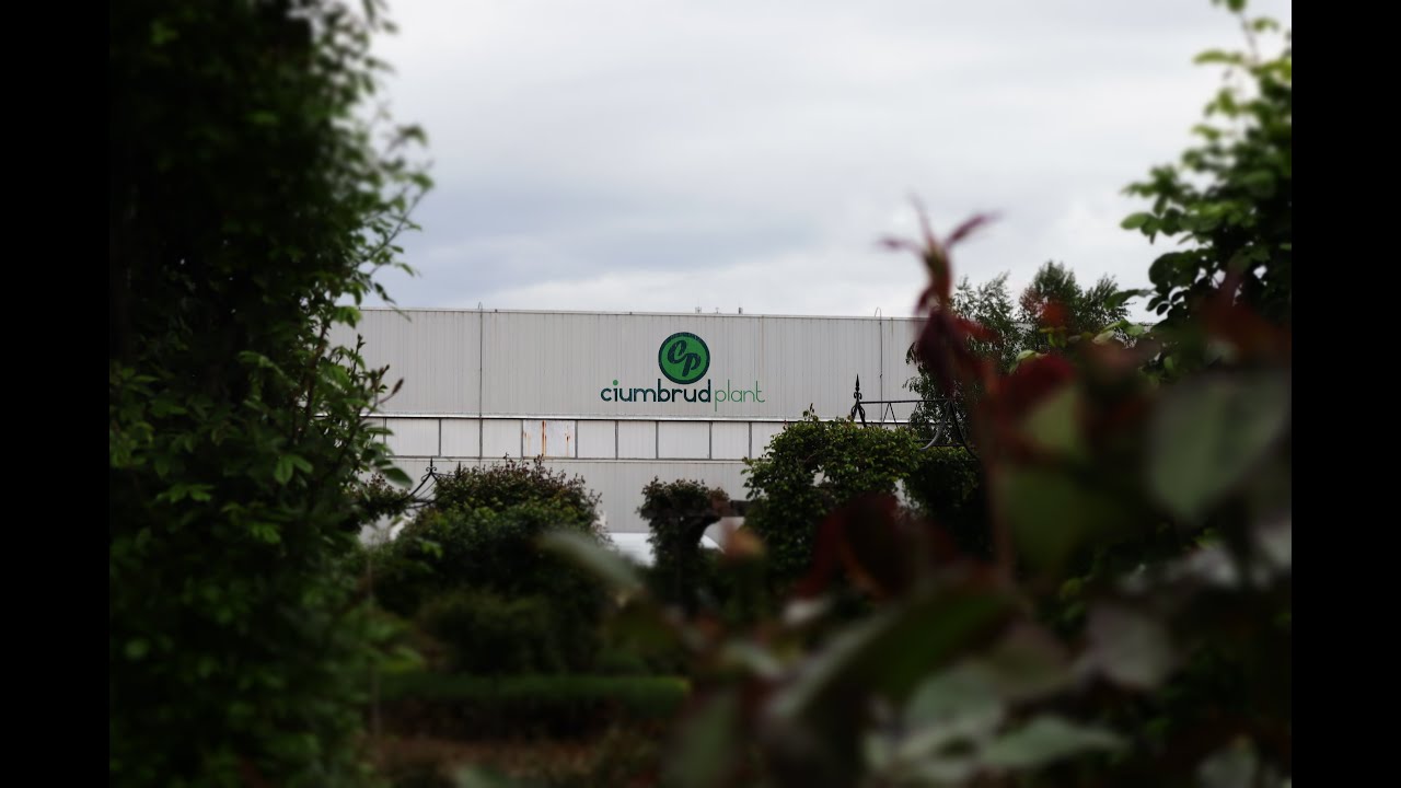 Aniversare 20 de ani - Ciumbrud Plant