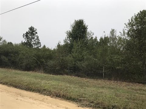 1230 E Allen Road, Macon, GA home video tour