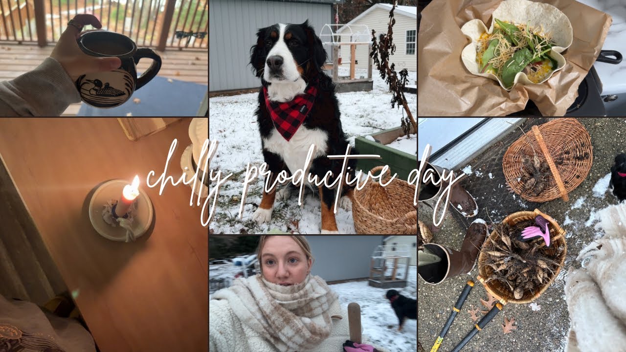 First Snowy Weekend in Michigan ❄️ Cozy Cabin Getaway, Dahlia Harvest & Winter Reset Vlog