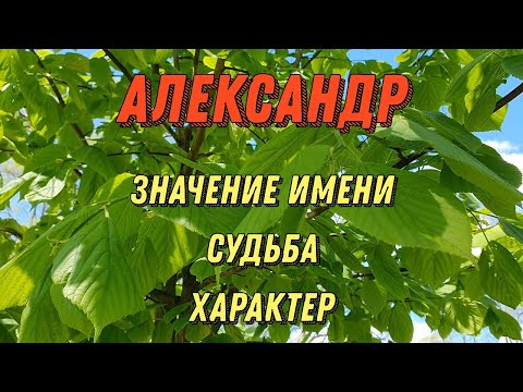 Значение имени Александр . Характер и судьба имени Александр