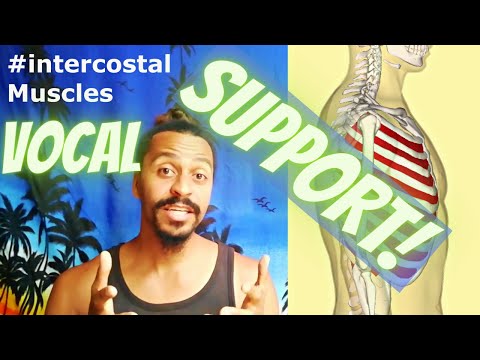 What is Voice-Support? – Anatomical Vocal Training (17)