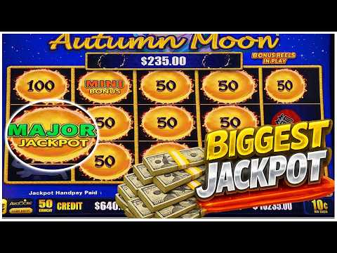 Was sind Netzwerk-Jackpots und wie funktionieren sie?