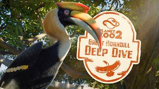 How Realistic Is Planet Zoo 2’s Great Hornbill? 🌿 Species Deep Dive