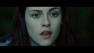 Pine Trees  Mityrion