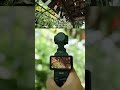 Osmo Pocket 3を持って国内旅行したら、映像が映えすぎて友達が嫉妬中。🤣