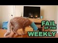Подборка фейлов за неделю //Fails video compilation