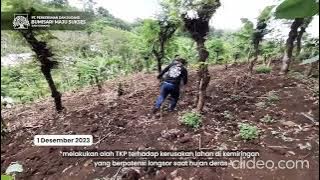 Bumisari Banyuwangi Lucu Reverse