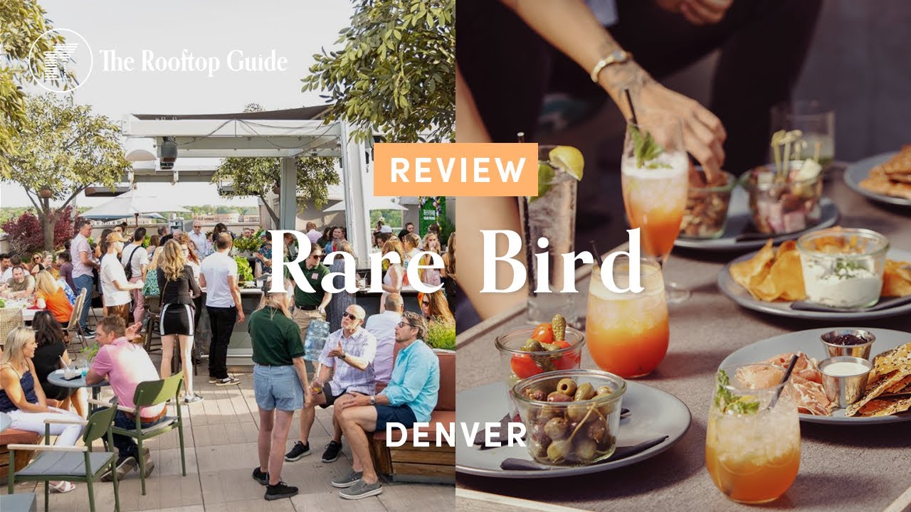 Rare Bird in Denver - Review