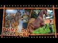 🐴Doma do Cavalo CBT🏃‍♂🐎Animal Bruto😬