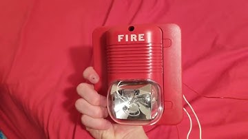 System Sensor P121575 Spectralert Classic Horn Strobe Test