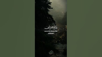 يريدون أن يطفئوا نور الله 🤍 #quran #راحة_نفسية #تلاوة_خاشعة #لايك #اكسبلور #قرآن #حالات_واتساب