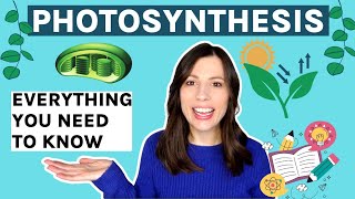 Photosynthesis: AQA A-level. Everything you need to know.