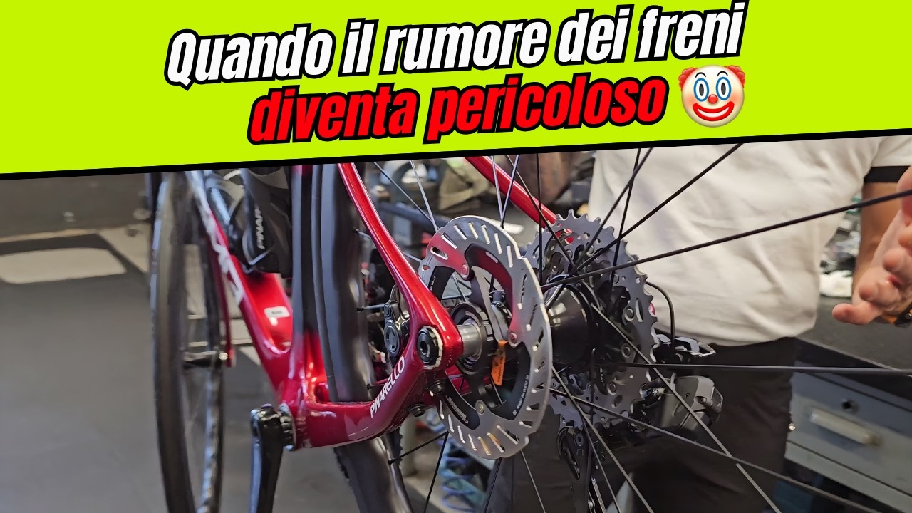 Freni rumorosi = disastro in arrivo?