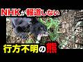 【逃亡中】マスコミが報道しない、人を襲った熊