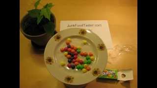 Skittles Crazy Sours