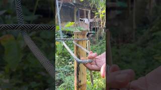 One Constrictor Knot, Many Uses!