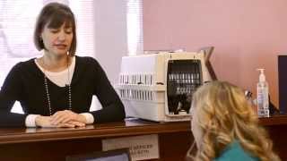 Front Desk Disasters: Show Me the Money