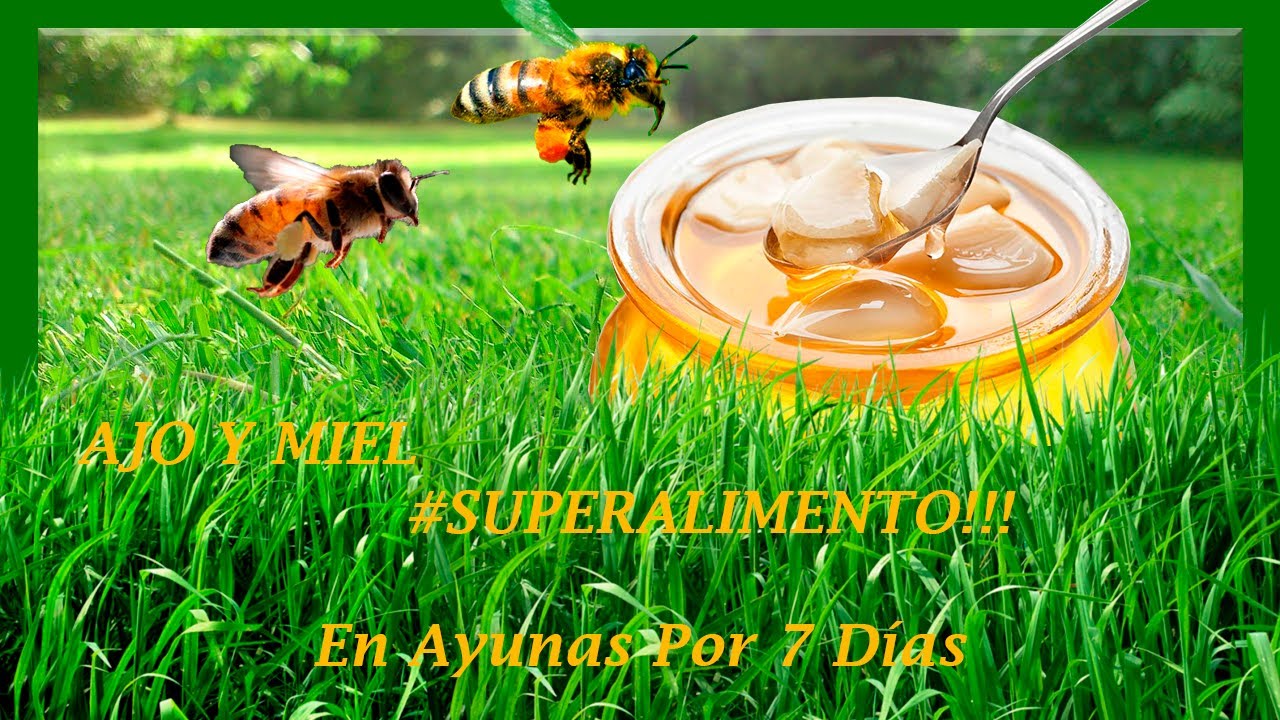 beneficios de tomar ajo y miel en ayunas