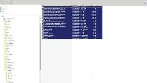 TIBCO ActiveMatrix BPM GadgetTutorial01