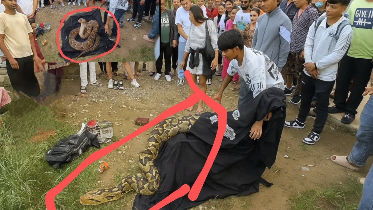 लेकसाइटमा जादुगरले मान्छे हालेर सर्प बनाएपछि दर्शक हेरेको धेरैDavid jadugar in pokhara#davidjadugar