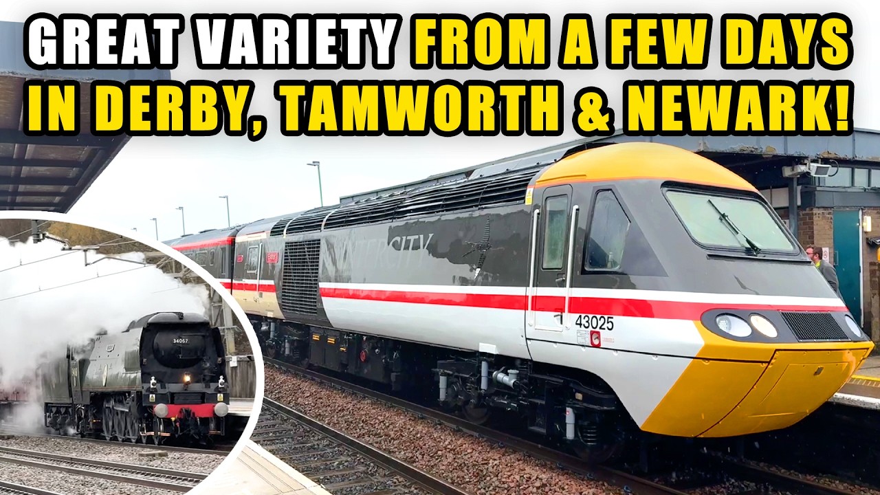 HST & Tangmere at Tamworth, Flying Scotsman, 37s, 93s & more at Derby + Newark THUNDERBIRDS ARE GO!