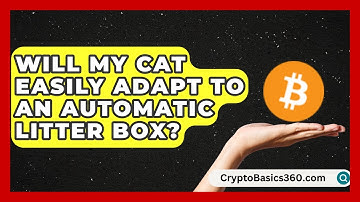 Will My Cat Easily Adapt to an Automatic Litter Box? | Happy Cat Handbook