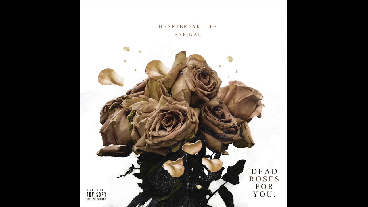 HeartBreak Life X Enfinal - Instagram Thots