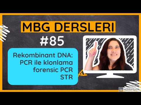 Video: 10 PCR döngüsünden sonra kaç DNA kopyası vardır?