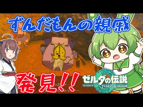 【ティアキン】コログとかいう無気力の化身を送り付ける仕事に就きたいのだ#02【ゼルダの伝説 ティアーズ オブ ザ キングダム】【ずんだもん】