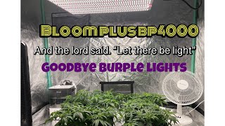 Bloom plus bp 4000 RUNTZ photo period WEEK 9 how to grow weed easy cannabis Gaia green organic