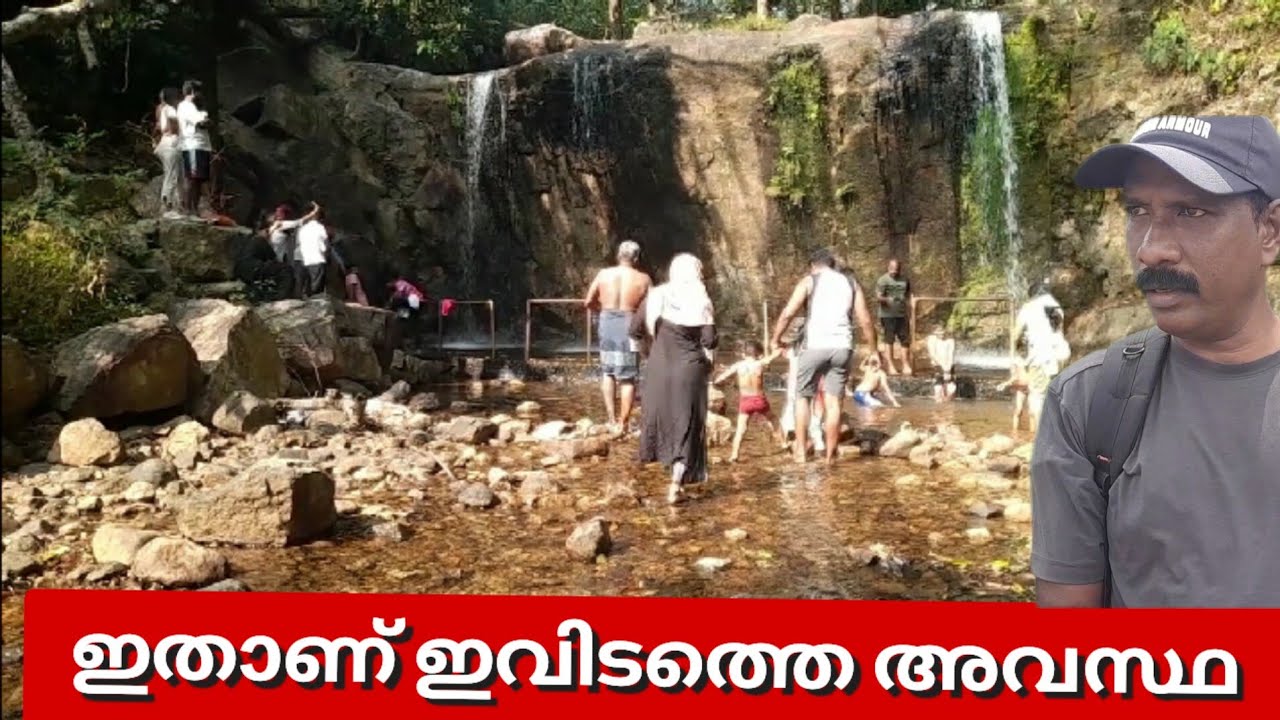 കോതയാർ ലേക്ക് ഒരു യാത്ര🐆🦬⛰