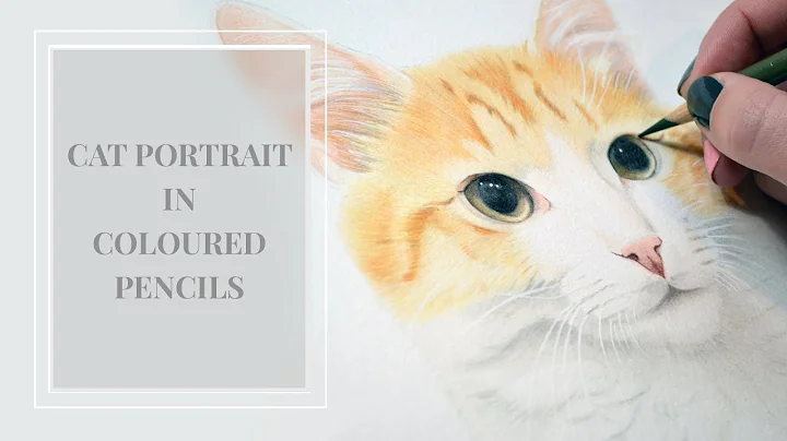 Norman the Cat in Coloured Pencils | Victoria Rand...