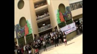 Life at IBS Pune