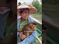 MONYETNYA PASTI SUDAH DI RICA-RICA‼️ 😱😱 Gara2 jarang muncul di dalam video 😭😭😭 #Shorts #Viral