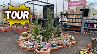 Tour Por El Area De VENTA De Mi VIVERO || Huerto Citadino