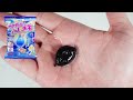 漆黒のふしぎ玉を作って食べてみた