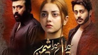 Mera Dil Mera Dushman Episode 35 - Promo - Ary Digital