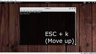 The very basic of Vi editor tutorial