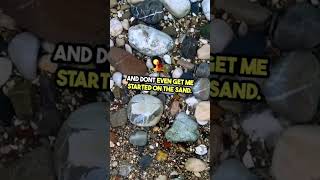 Social-Media Vs Reality