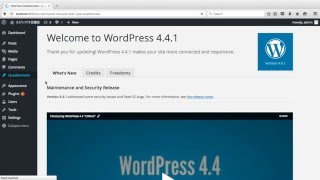 Questionnaire 2.4.1 for WordPress (Using Constraint feature).