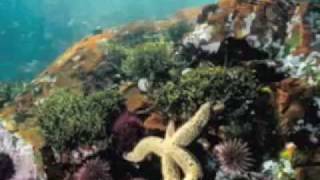 Remarkable Wedding Venue - Western Cape - On Perdekoop