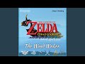 Dragon Roost Island (Orchestral)