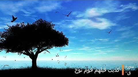 ~ما تيسر من سورة ق