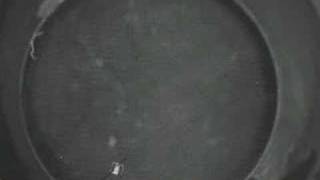 Swiss Microrobot - Real-time Demo