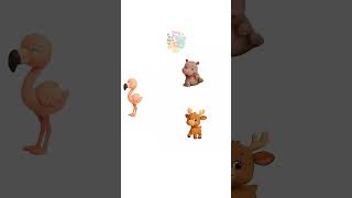 Animal dancing