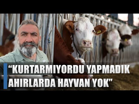 Eşref Şekerli Canlı Yayında Açıkladı! Et Fiyatları Neden Yükseliyor? / AGRO TV HABER