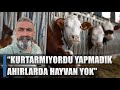 Eref ekerli canl yaynda aklad et fiyatlar neden ykseliyor  agro tv haber