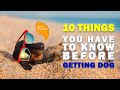 10 things you need to know before getting a dog