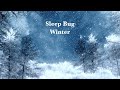 Winter deep sleep music to cure insomnia  sleep bug white noise soundscapes